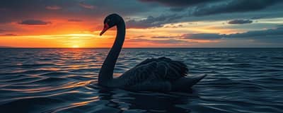 El Modelo del Cisne Negro: Prepárate para lo Inesperado